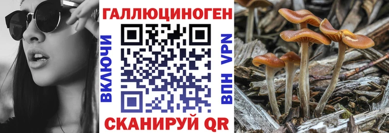 Галлюциногенные грибы Psilocybine cubensis  Остров 